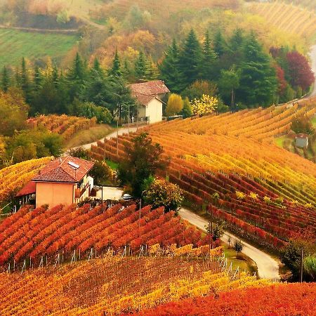 Affittacamere Casa Badinot Diano dʼAlba Esterno foto