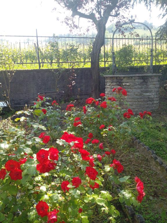 Affittacamere Casa Badinot Diano dʼAlba Camera foto