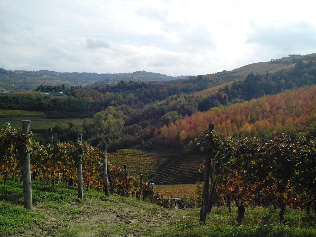 Affittacamere Casa Badinot Diano dʼAlba Esterno foto
