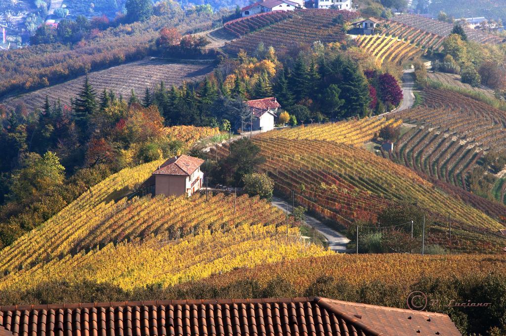 Affittacamere Casa Badinot Diano dʼAlba Esterno foto