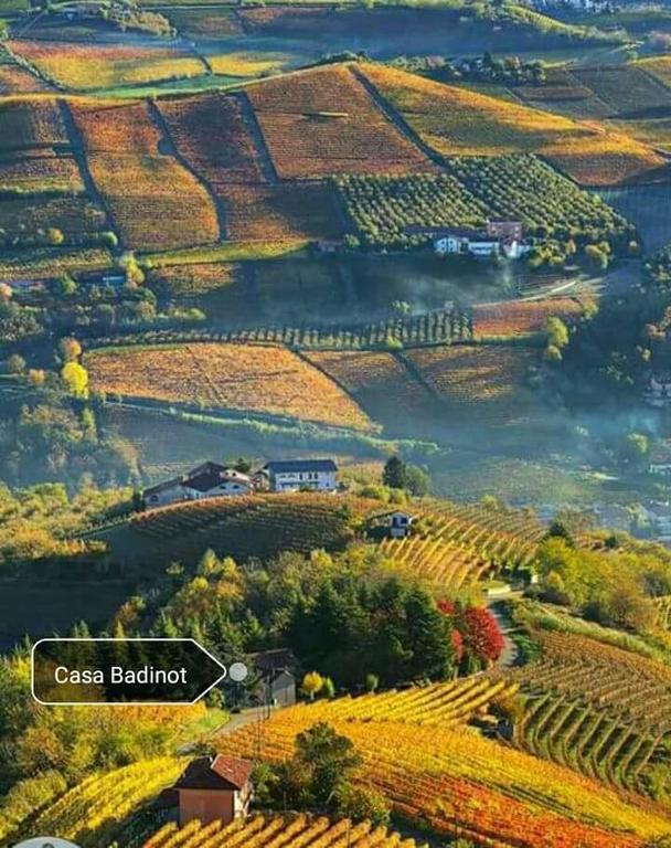 Affittacamere Casa Badinot Diano dʼAlba Esterno foto